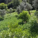 Ecorustics - Casa Estevao Feriehus *