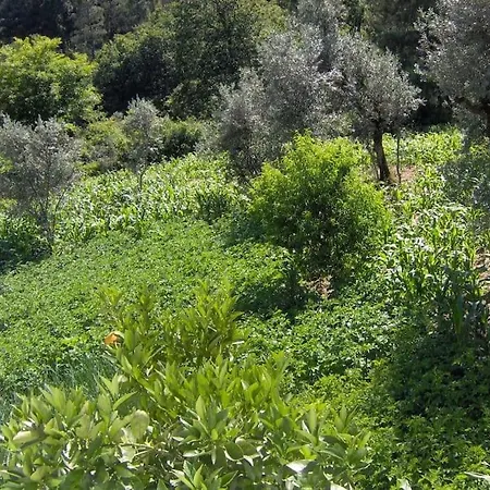 Ecorustics - Casa Estevao Holiday home *