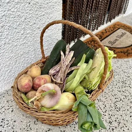 Ecorustics - Casa Estevao * Sao Pedro do Sul